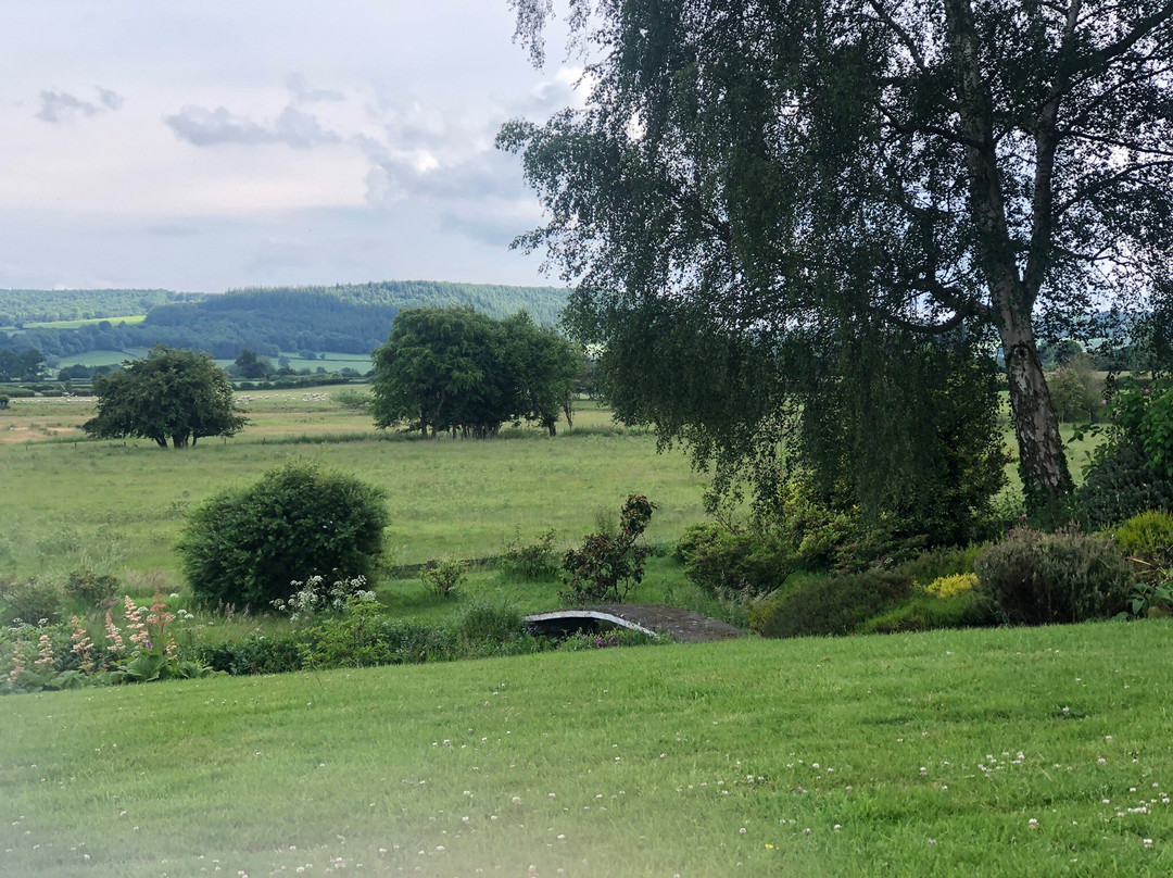 Upper Buckton B&B