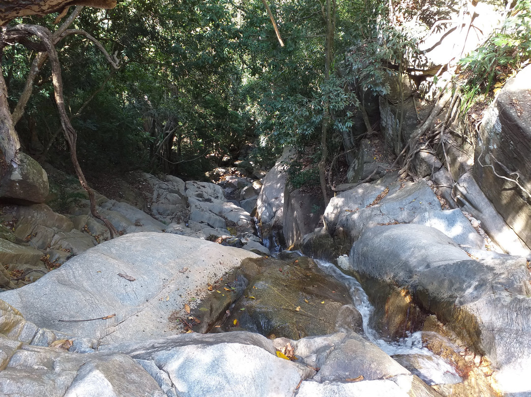 Rakkhiththa Kanda Aranya Senasanaya