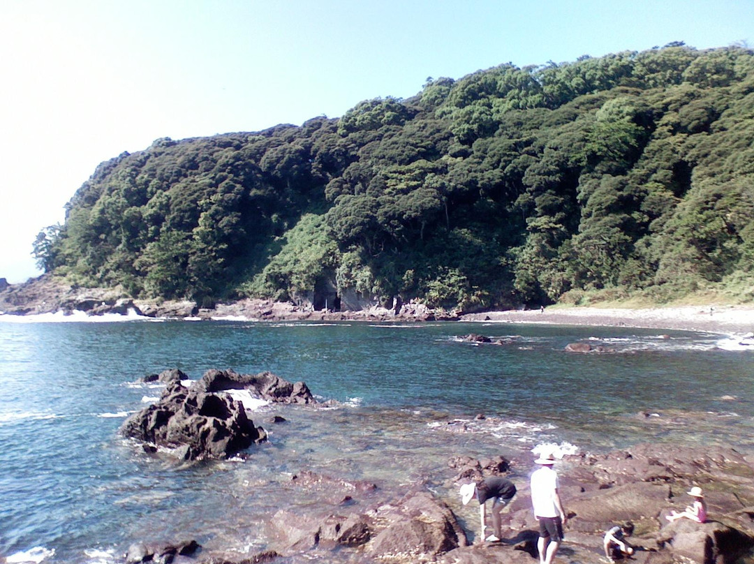 null-真鹤町