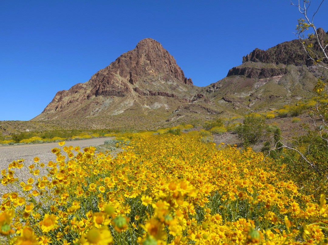 2024年5月Oatman旅游景点攻略-Oatman旅游住宿,-Oatman旅游美食-猫途鹰