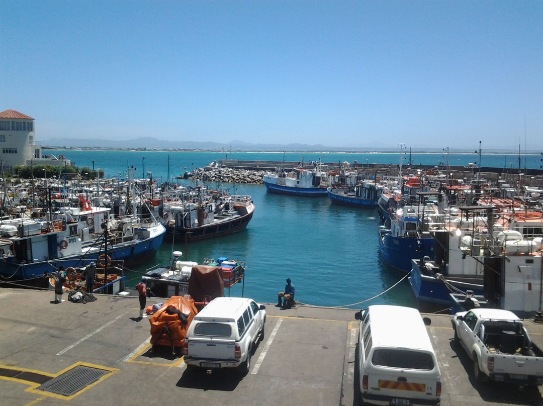 Port St Francis旅游攻略图片