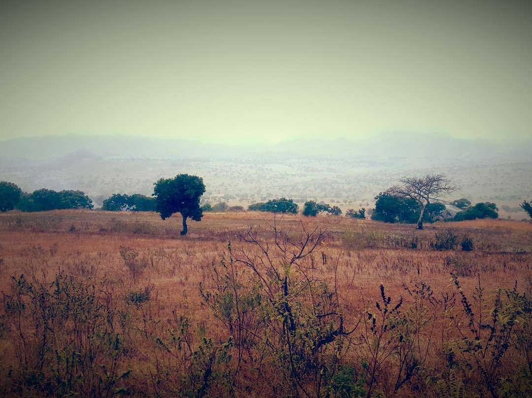 Dedza旅游攻略图片