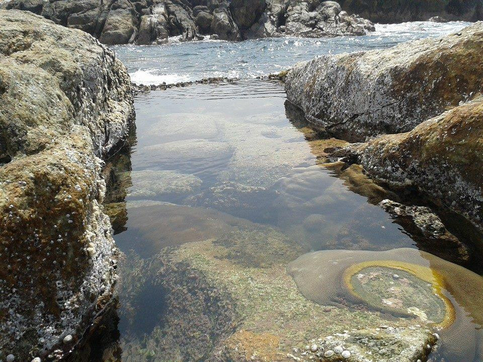 Rock Islands Santuaries景点图片