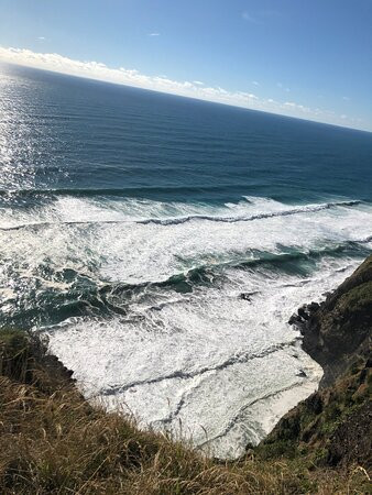 Mercer Bay Loop-皮哈海滩必去景点