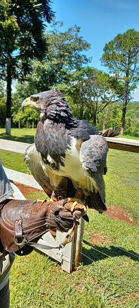 Foz Eco Park Zoo-伊瓜苏必去景点