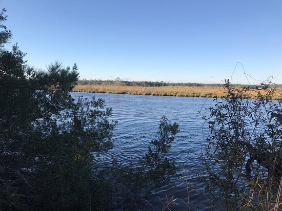 Big Branch Marsh National Wildlife Refuge景点图片