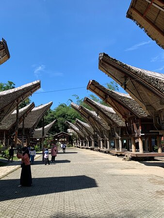 Kete Kesu Village景点图片