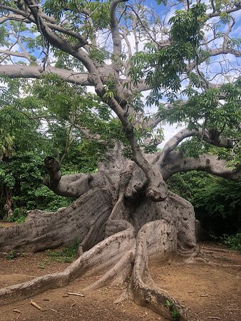 Hofi Pastor-Barber必去景点