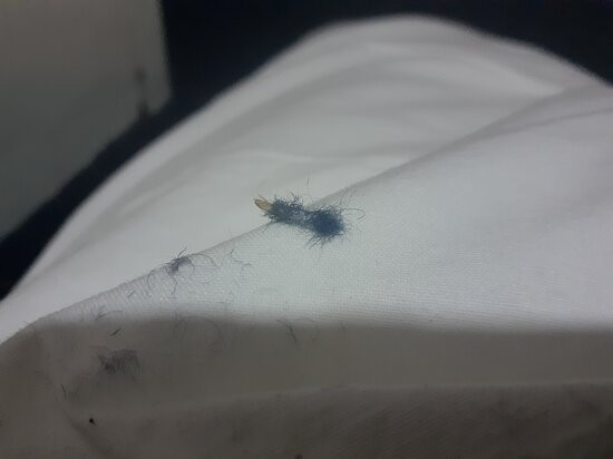 Meninya Palms Moama主图