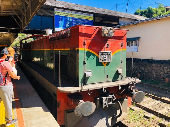 Train Tours-埃勒必去景点