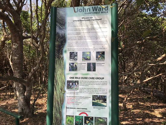 John Ward Rainforest Walk-福斯特必去景点