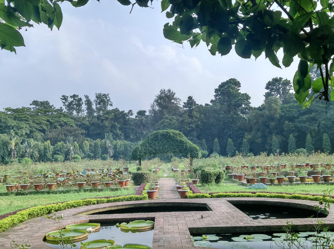 National Botanical Garden景点图片