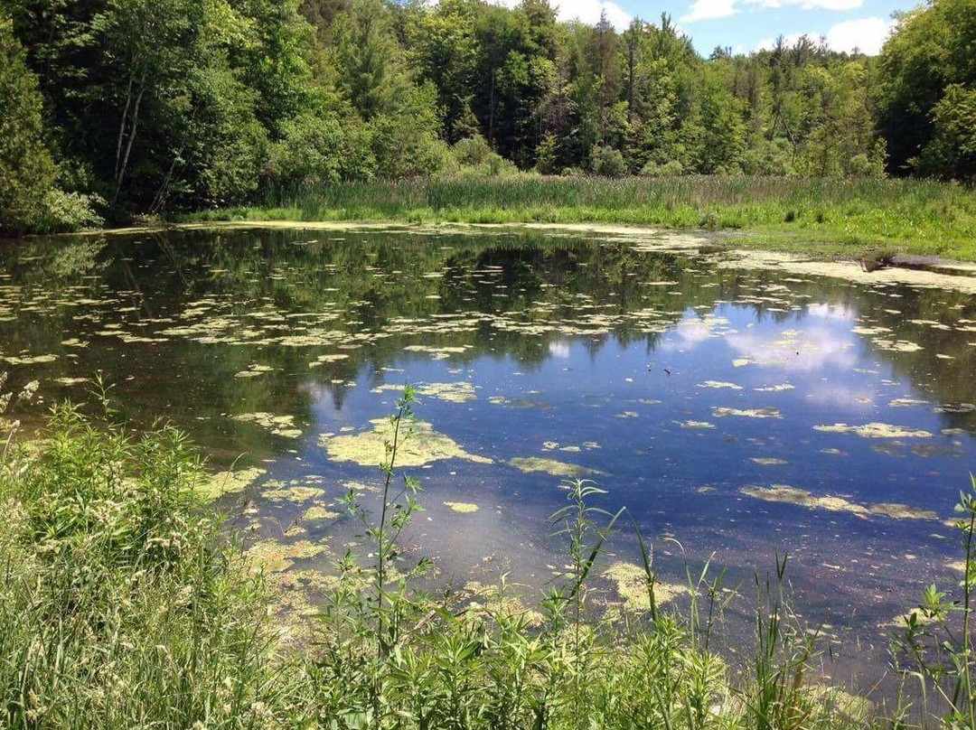 King City旅游攻略图片