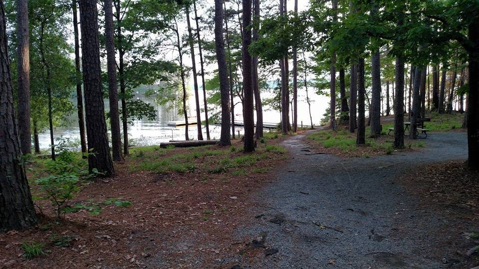 Jimmie Davis State Park景点图片