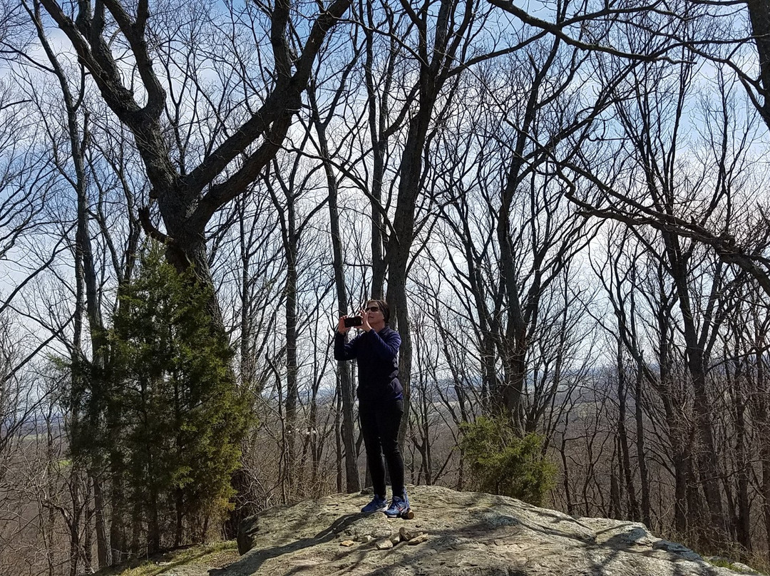 Jackson-Washington State Forest