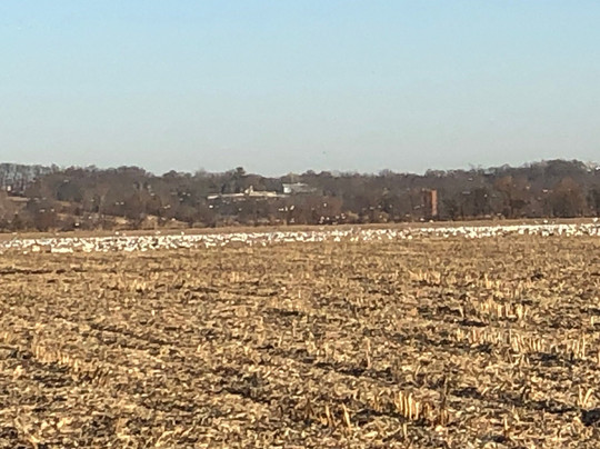 Henrietta旅游攻略图片