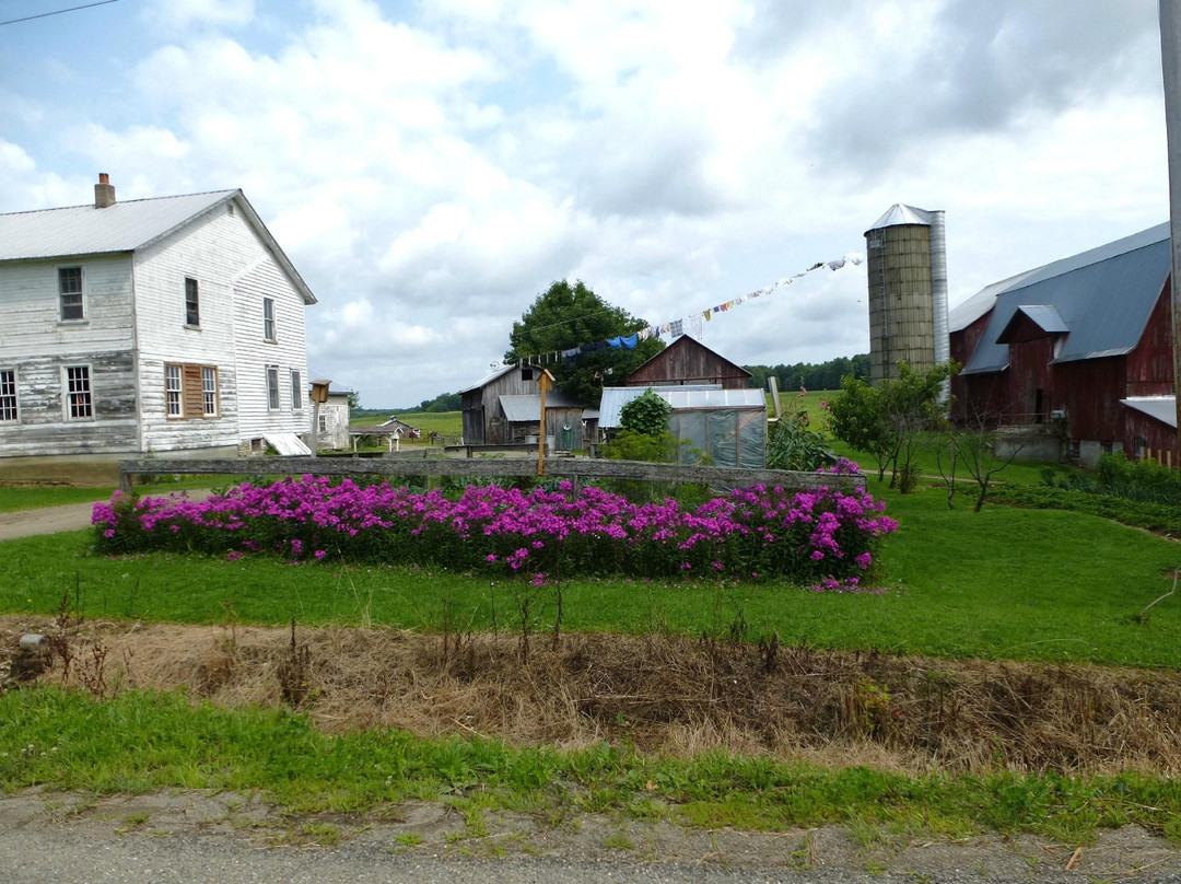 New York Amish Trail景点图片