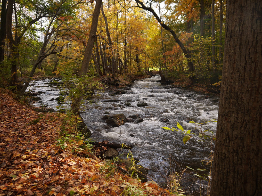 Penfield旅游攻略图片