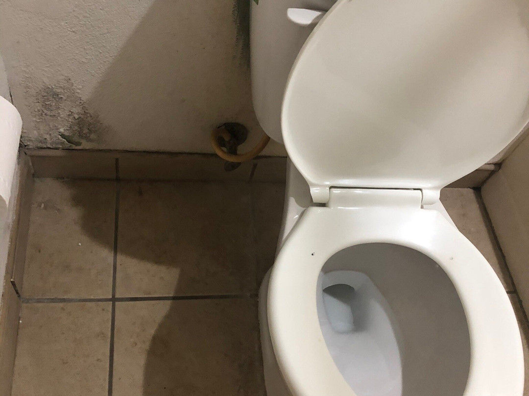 Dunnigan旅游攻略图片