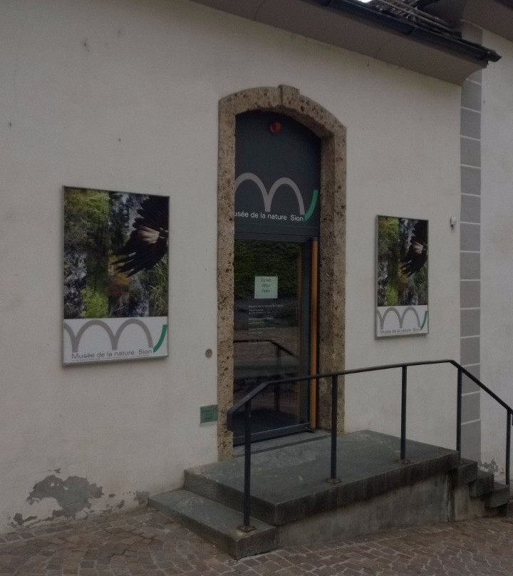 Valais Nature Museum-锡永必去景点