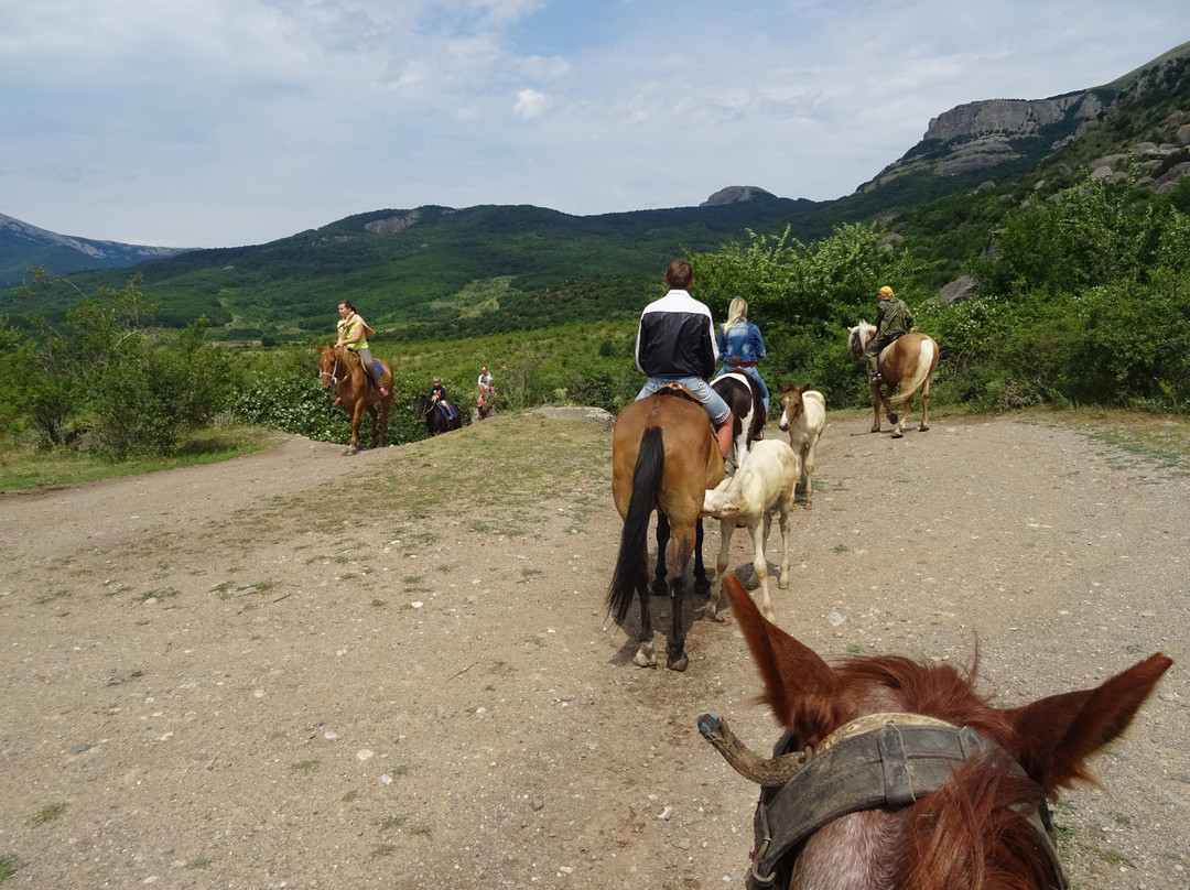 Horse Riding Club Allyur