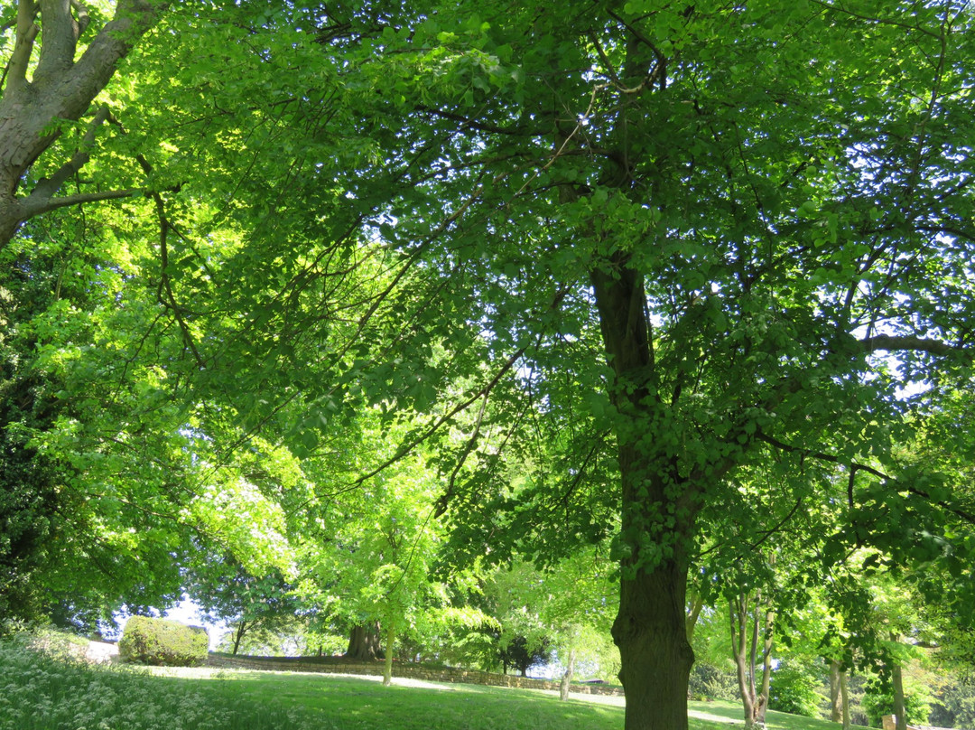 Lincoln Arboretum景点图片