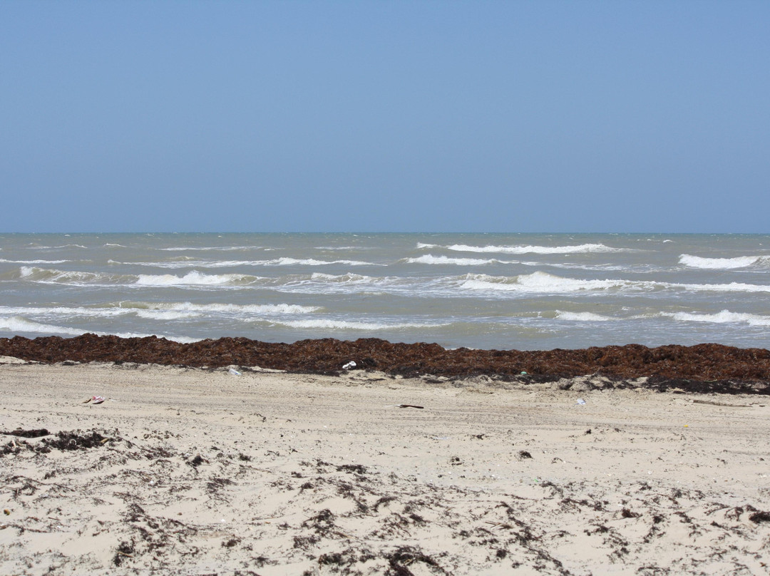 布朗斯维尔旅游景点-Boca Chica State Park
