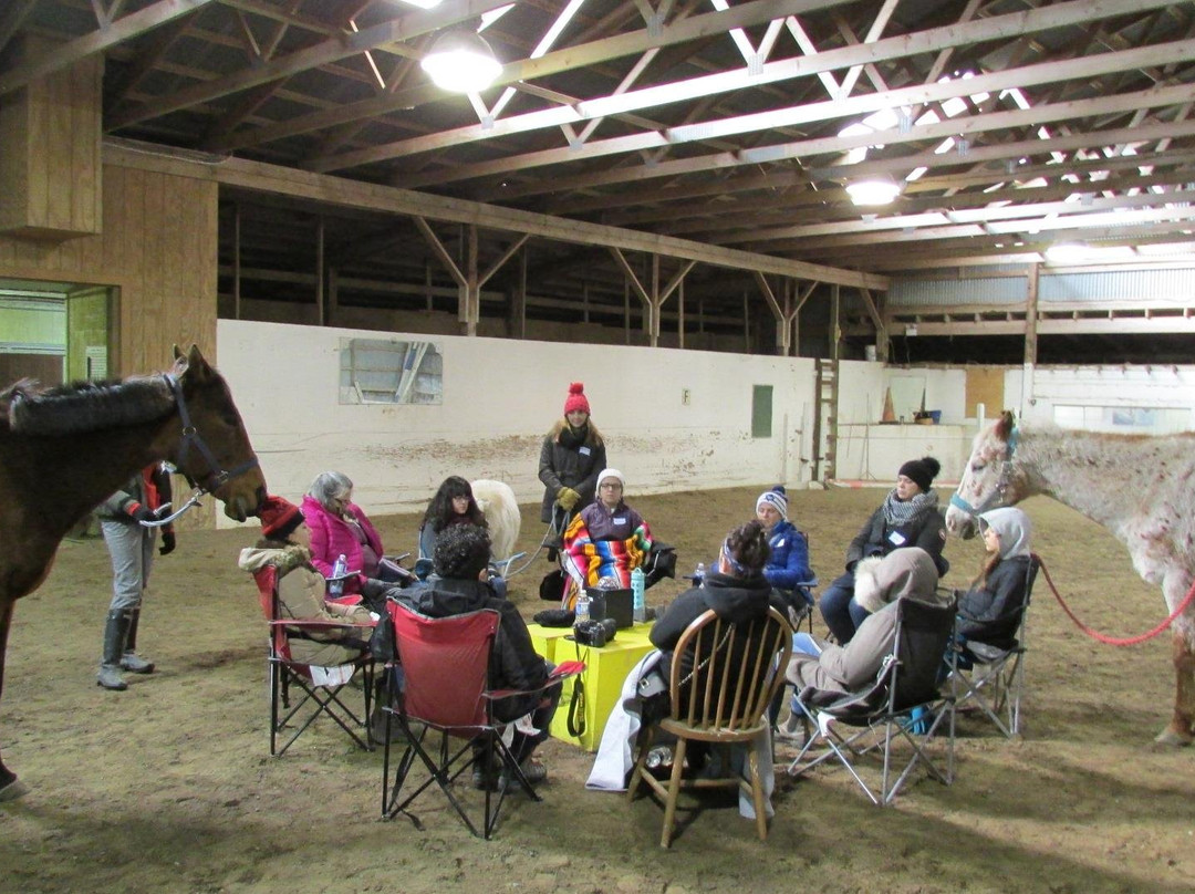 Restorative Reins Equine Therapy & Wellness Centre-万锦市必去景点