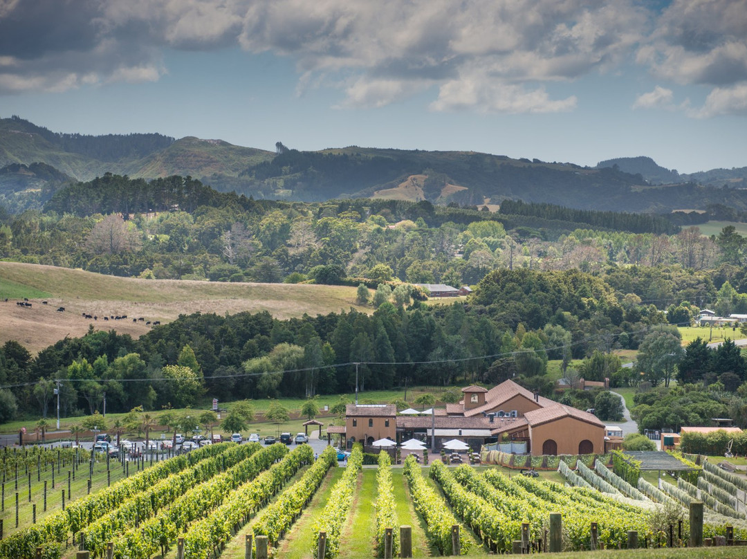 蒂哈纳旅游景点-Ascension Wine Estate
