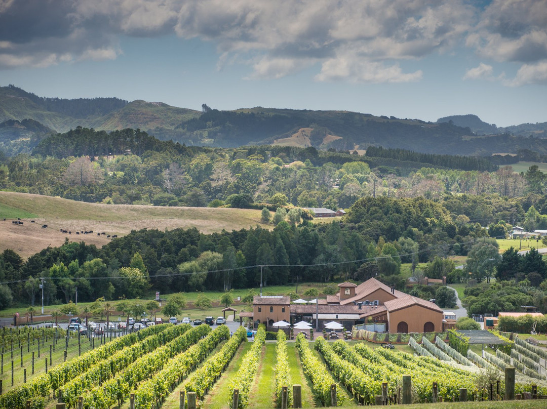 Ascension Wine Estate Matakana Auckland景点图片