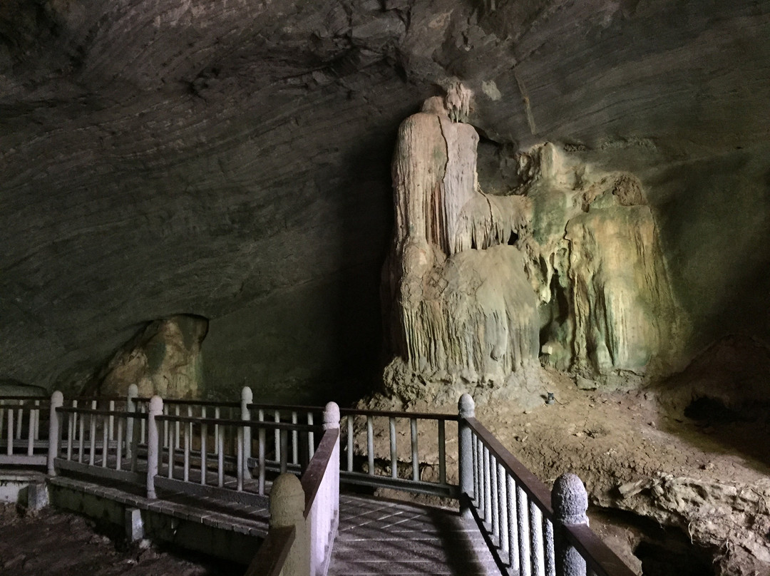 Gua Kelawar (Bat Cave)-兰卡威必去景点