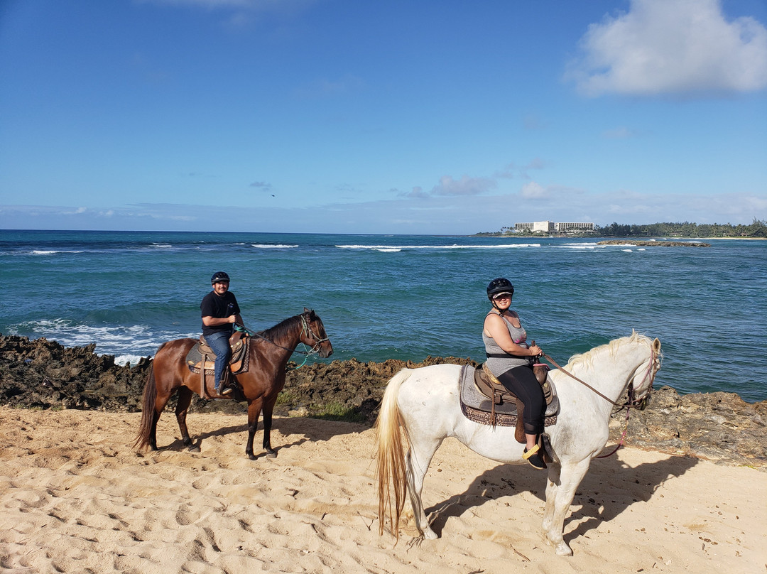 Turtle Bay Resort Horse Riding-卡胡库必去景点
