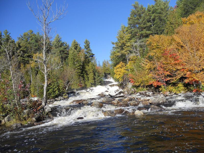 Oxtongue River-Ragged Falls Provincial Park景点图片