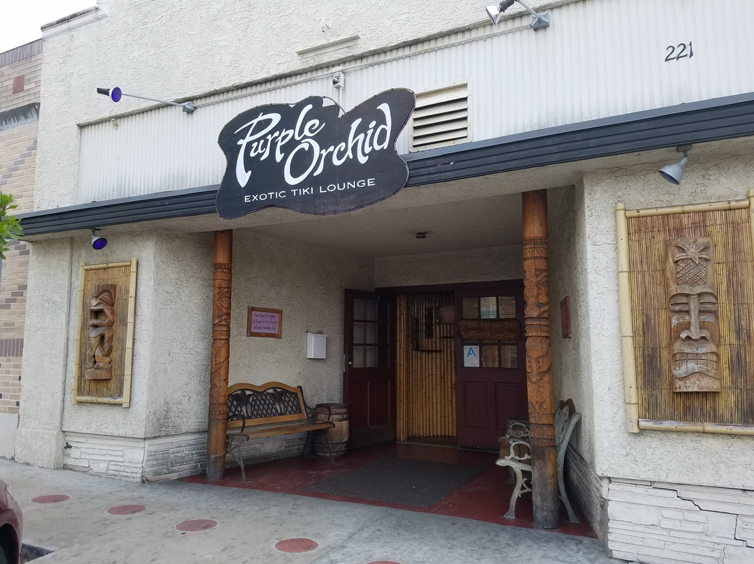 Purple Orchid-埃尔塞贡多必去景点