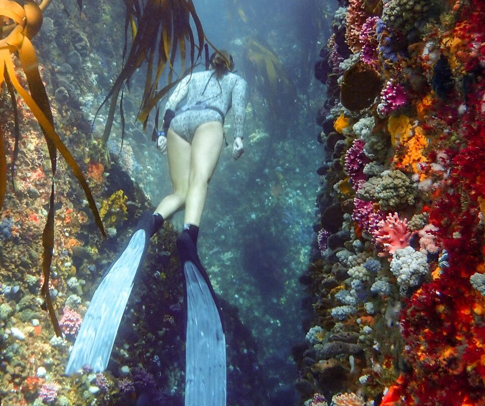 Cape Town Freediving-Muizenberg必去景点