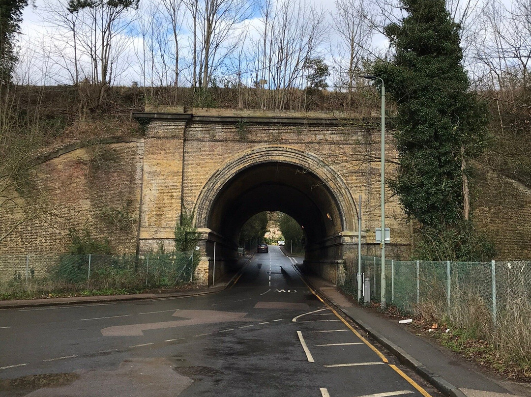 Petts Wood And Hawkwood景点图片