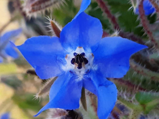 Sentiero Argentiera Nurra-Argentiera必去景点