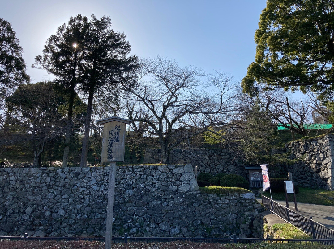 Tamaru Castle Ruin景点图片