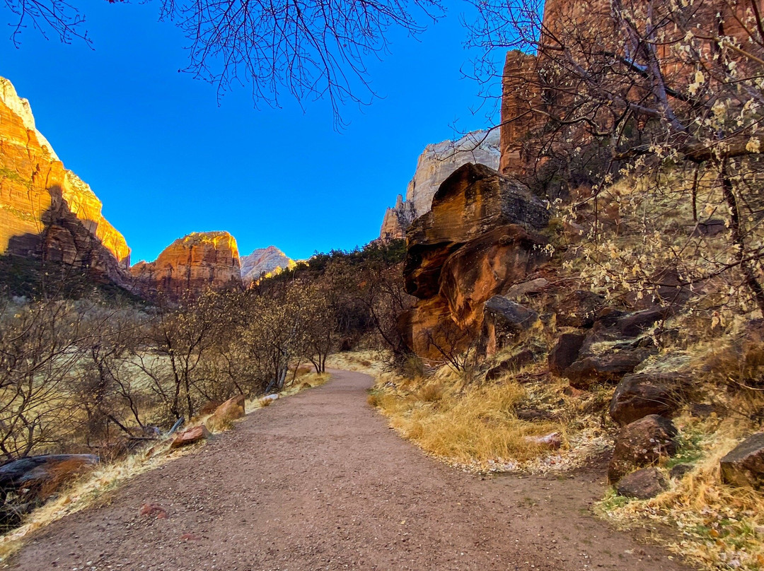 Grotto Trail-锡安国家公园必去景点