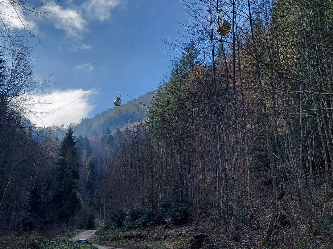 Region Wasserfallen-Reigoldswil必去景点