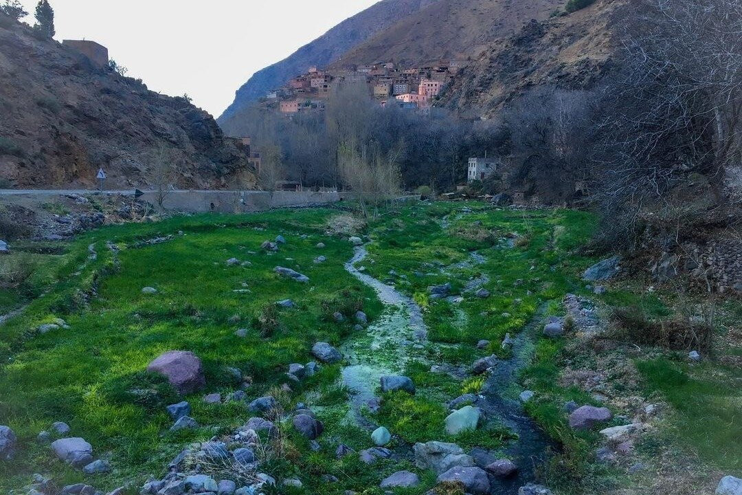 Marrakesh Day Tour-伊姆利勒必去景点