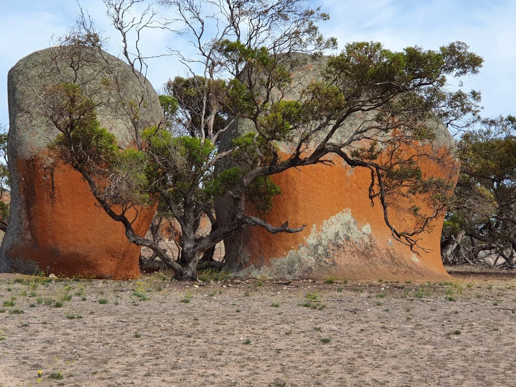Murphy's Haystacks-Streaky Bay必去景点