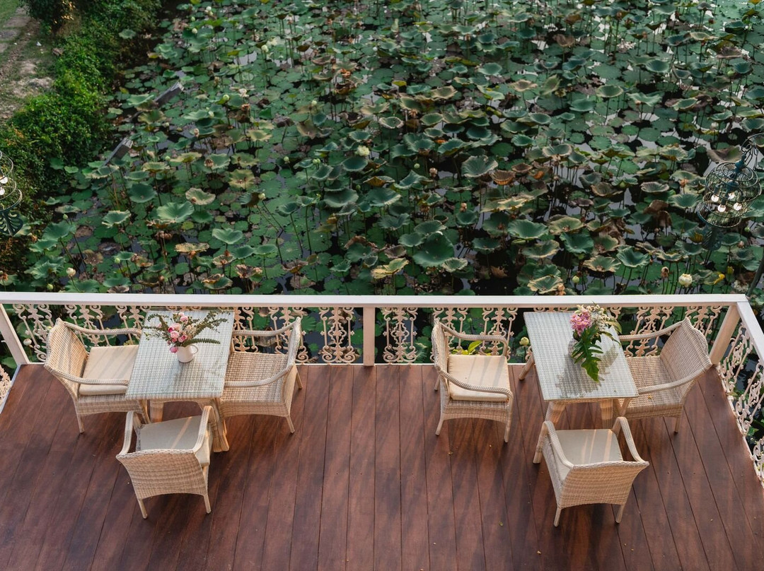 Rosario Oasis Resort主图