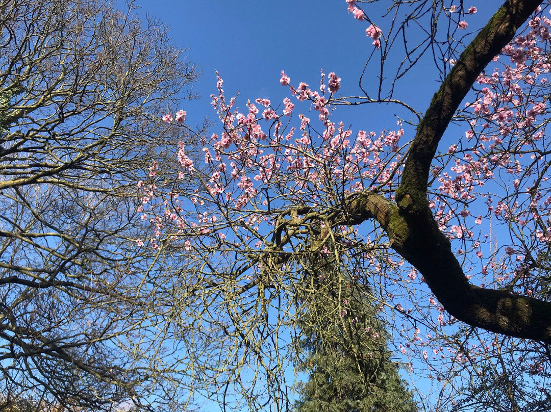 New River Walk-伦敦必去景点