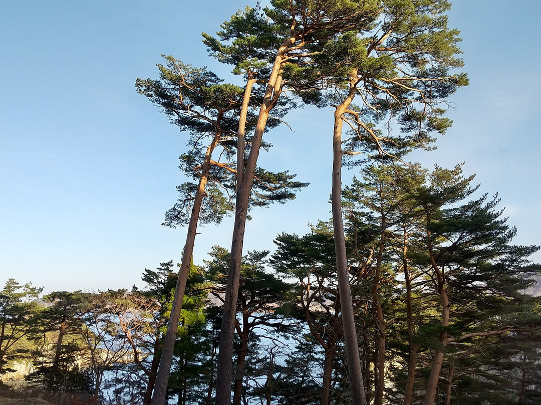 Jodogahama Park Hotel主图