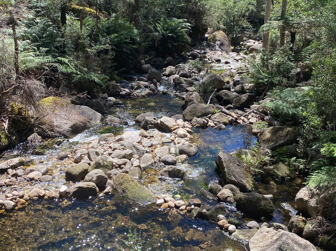 Ladies Bath Falls-水牛山国家公园必去景点
