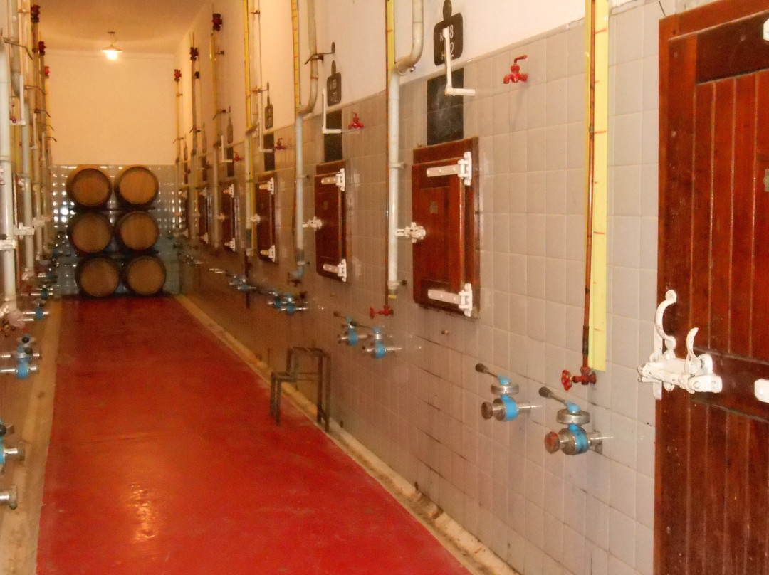 Bodega Florio-Maipu必去景点