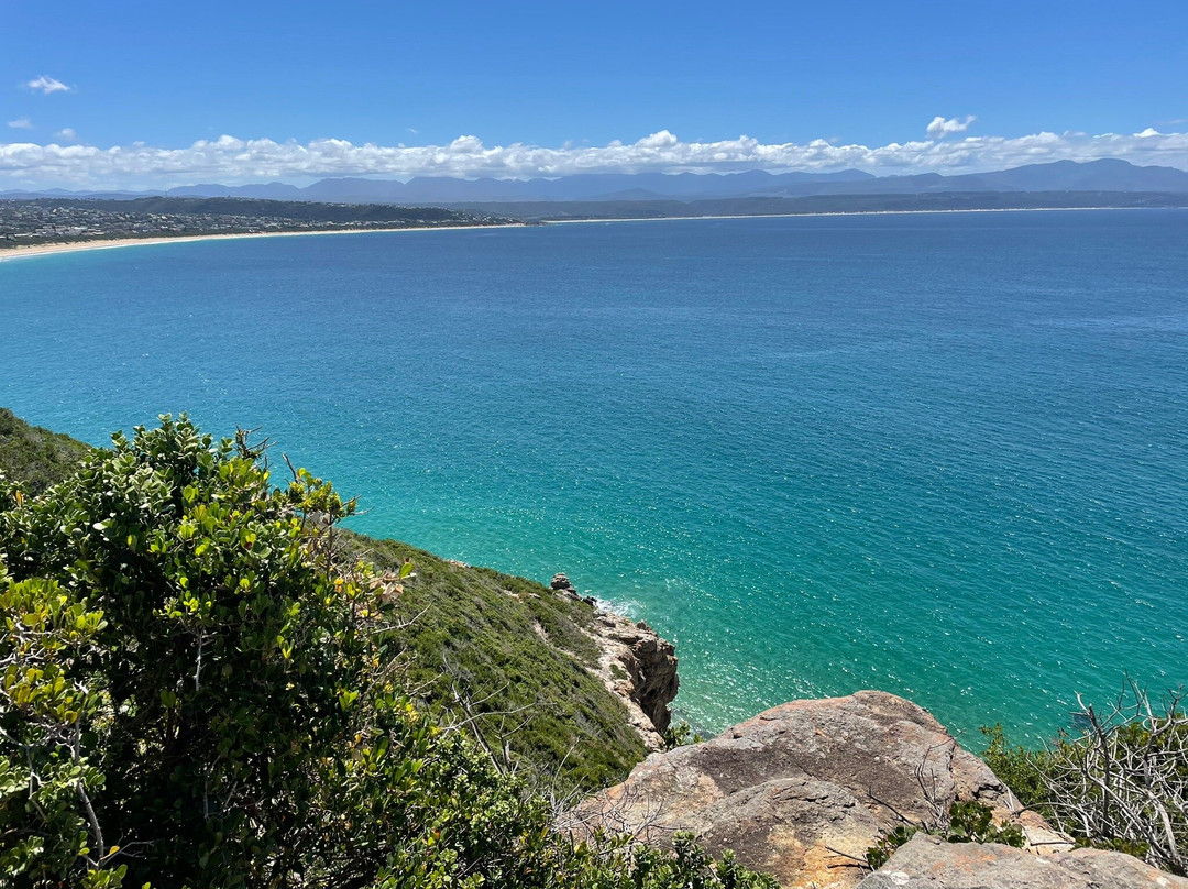 Harkerville Saturday Village Market-普利登堡湾必去景点
