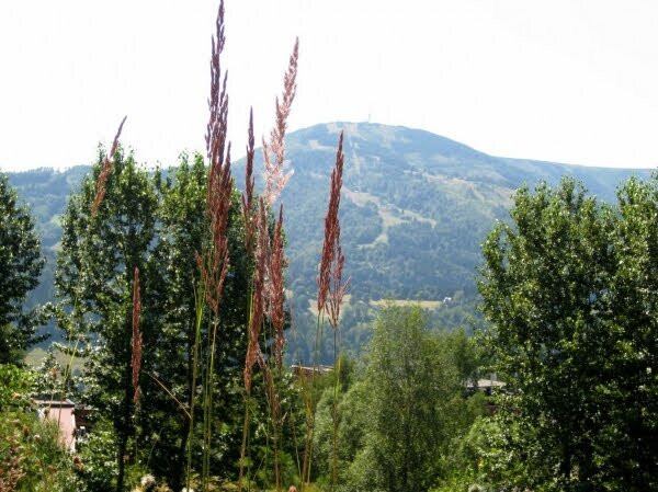 Park Krajobrazowy Beskidu Śląskiego/Beskid Śląski landscape park景点图片