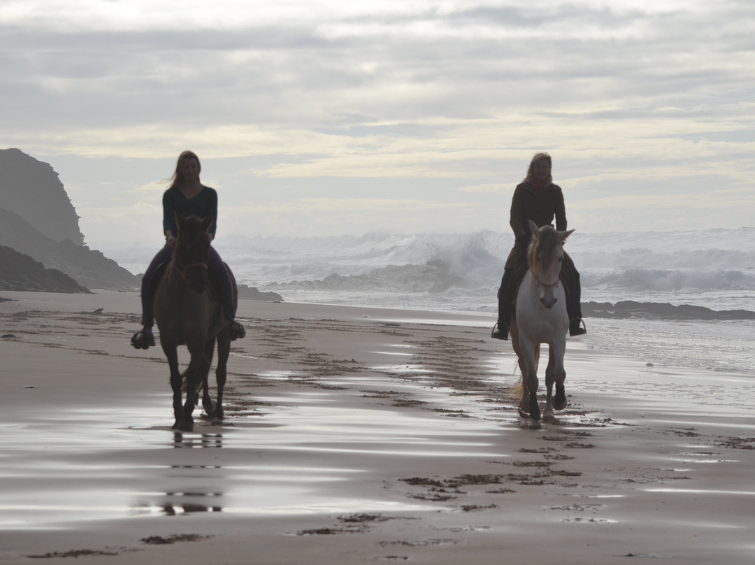 Algarve Horse Riding景点图片